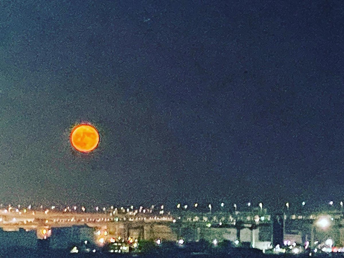 yanosukee's tweet photo. 赤くて大きい月の写真撮れた🌕 https://t.co/md6qLU7tfo