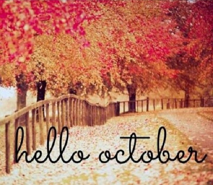 BrighouseLC (@ladiescircle216) on Twitter photo 