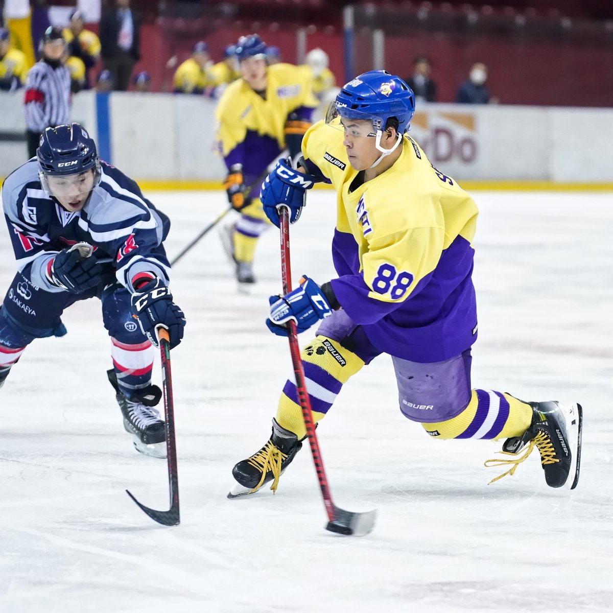 icehockeystream's tweet photo. [2023/10/1] #中央大学 2-7 #明治大学

▼
#2023年度関東大学アイスホッケーリーグ戦
#関東大学アイスホッケー
#東京都アイスホッケー連盟
#アイスホッケー #icehockey 
▼
#SonyAlpha #SonyAlpha9 #Sonyα9 #SonyA9 https://t.co/w6d1vasKf0