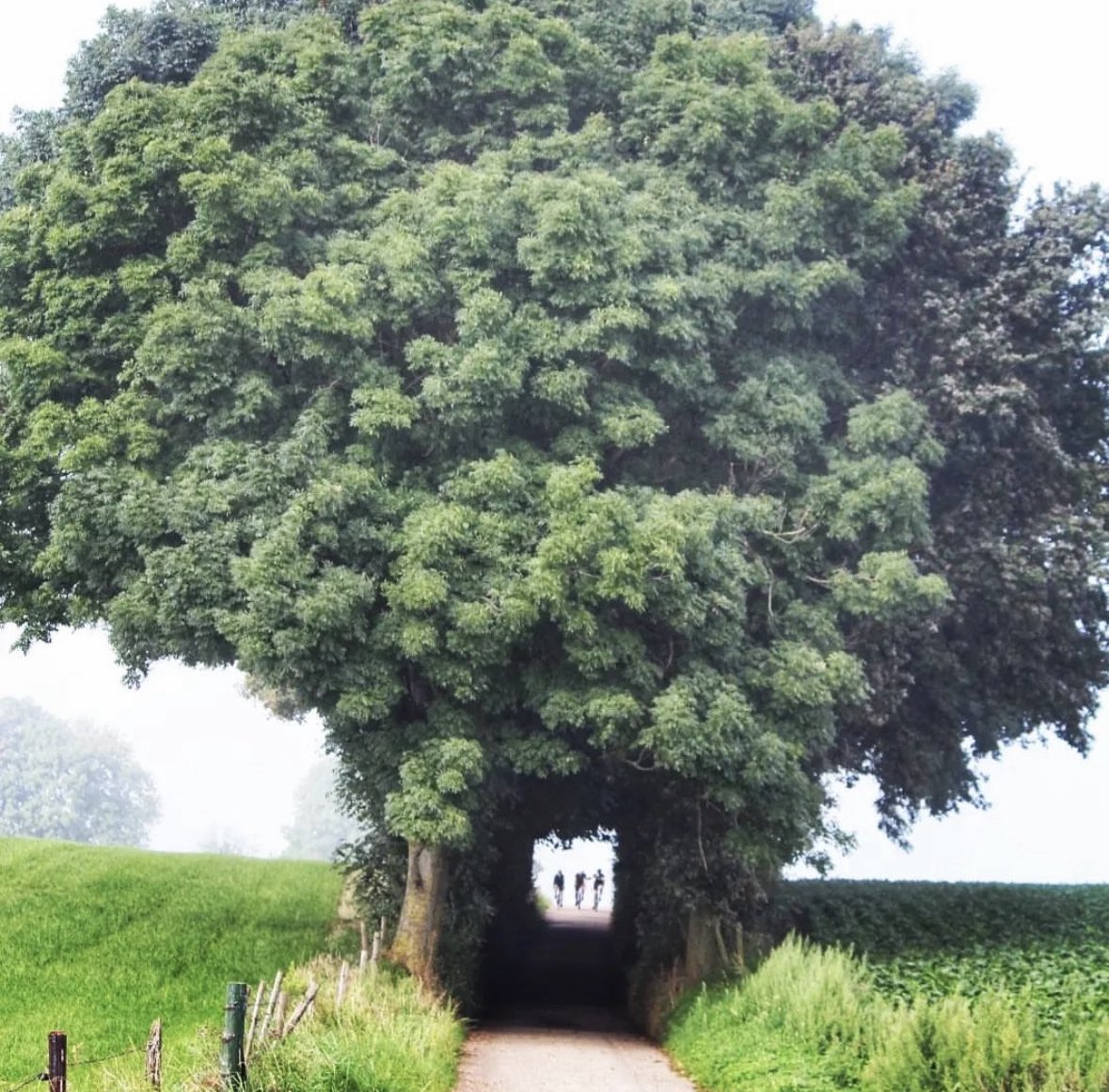 Terblijt #MagnifiekZL
📸: xandravanhautem - Instagram