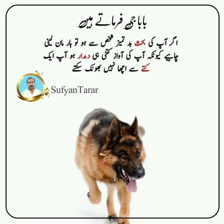 #@ pti