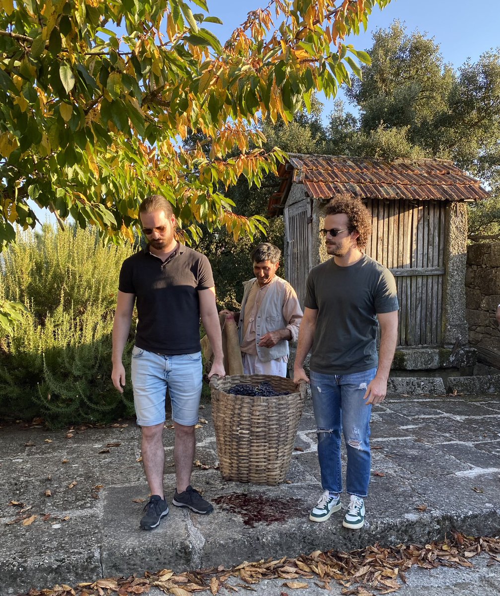 🔙 After a full day of #science on #supramolecular #chemistry #biomaterials, it was time to learn #traditional costumes, enjoy authentic #food & do some hard work #grape #harvest 🍇🍷@#CasadoLavrador in #SantaCruzdoDouro 🤩👌 You should not miss this fantastic place & people! 🙌