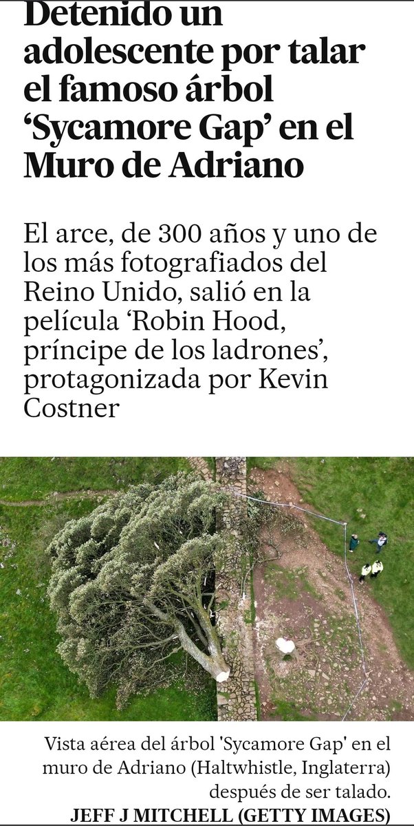 velveluaces's tweet photo. #CodiciaDeLosListosRadio3
@joaquinaraujo
@future_spain
#NatxoBlanchart @arribalasramas @estoesLaMODA @PilarSocorro @radioalvaro
@CarolaAlba #CharlieFaber
@antoviradio
En ntro @BosqueHabitado
De la PÚBLICA @radio3_rne
Tampoco, conciencia
#SycamoreGap
#Arce300años
UK 😭 x su arce! https://t.co/0Zn7FcP8Gq