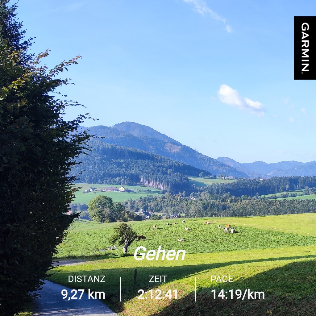 Meine Morgen Runde #garmin #beatyesterday