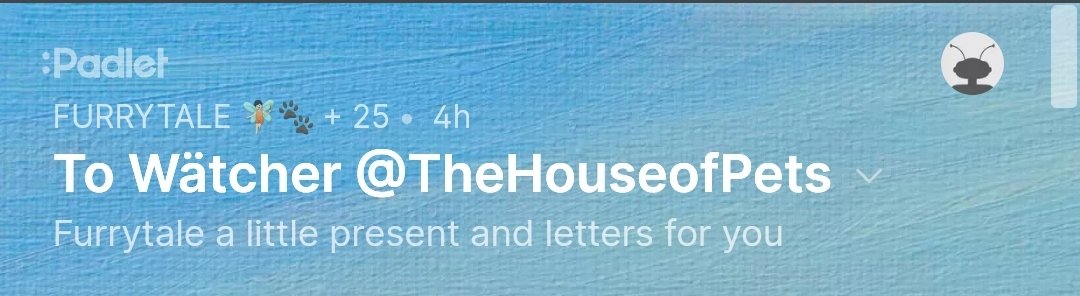 The House of Pet tweet media