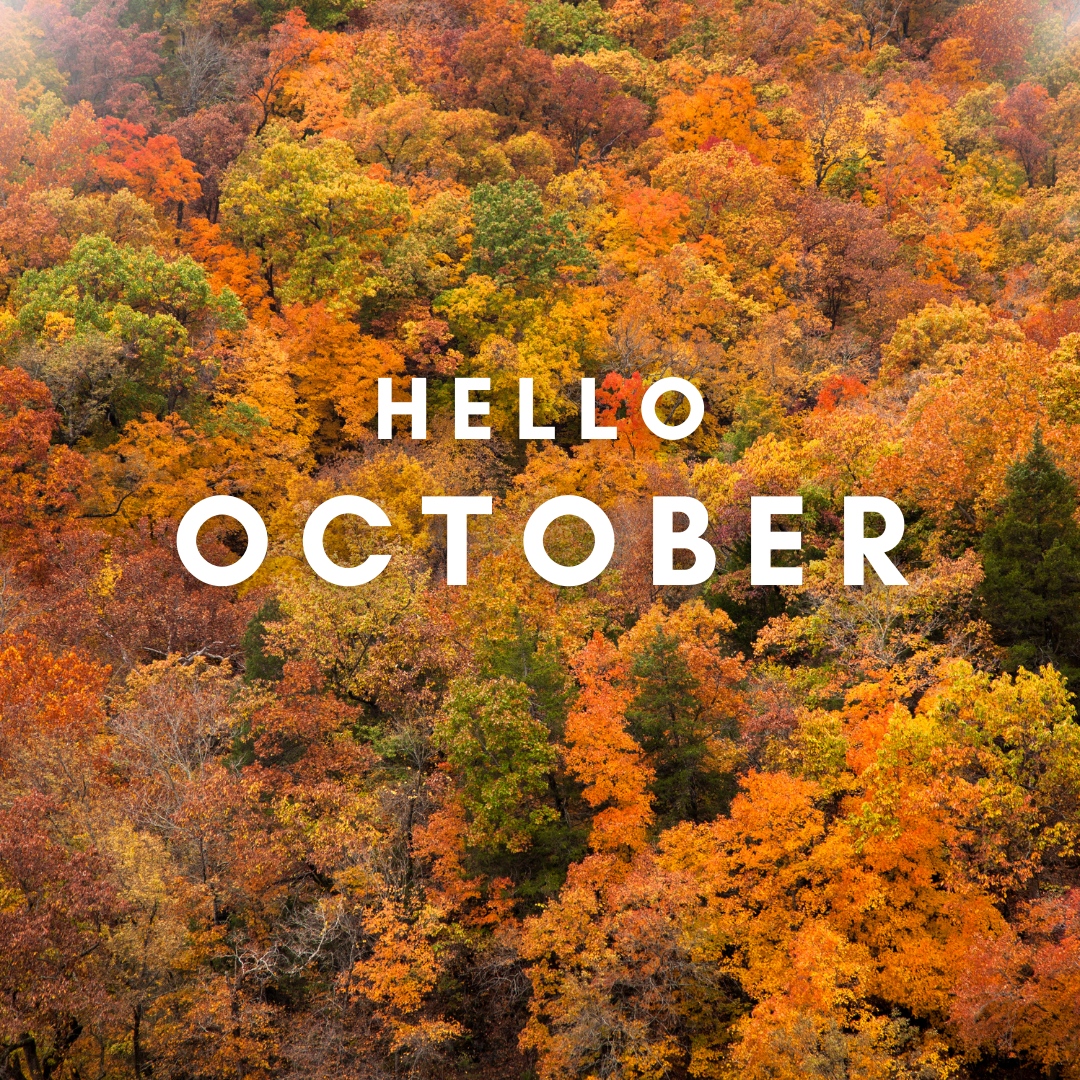🍁 

#October #sinsinawamound #fall