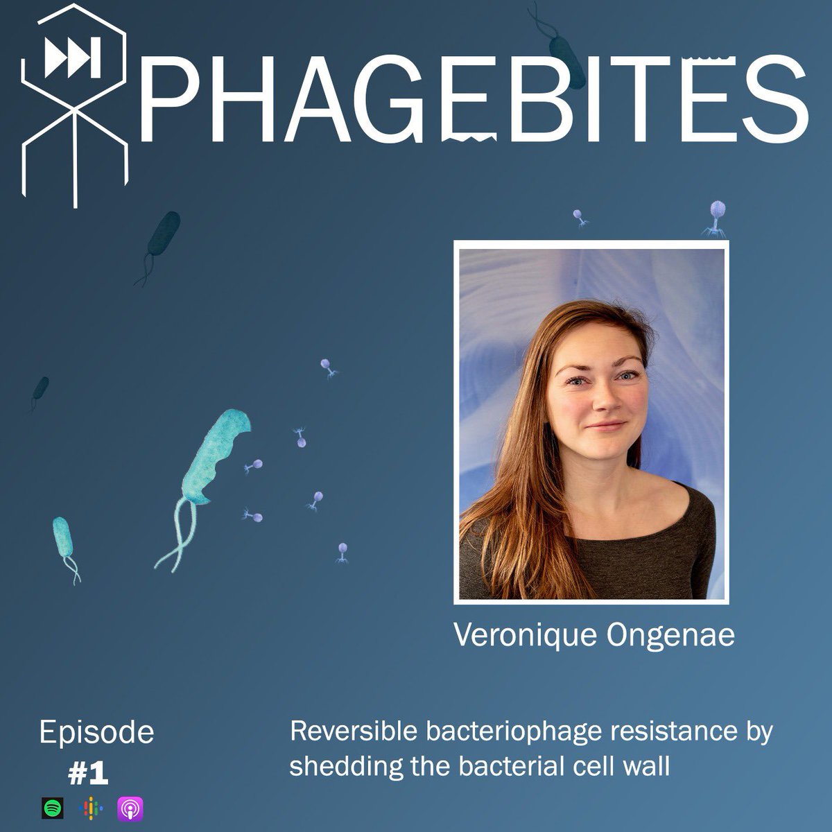 PhageCast's tweet photo. 🎙️ We introduce PHAGEBITES,
a new format with short interviews featuring PhD students and early-stage researchers, sharing their groundbreaking work! 
In this episode, meet @VeroniqueO5 from Leiden University. https://t.co/OjbEtQWshh