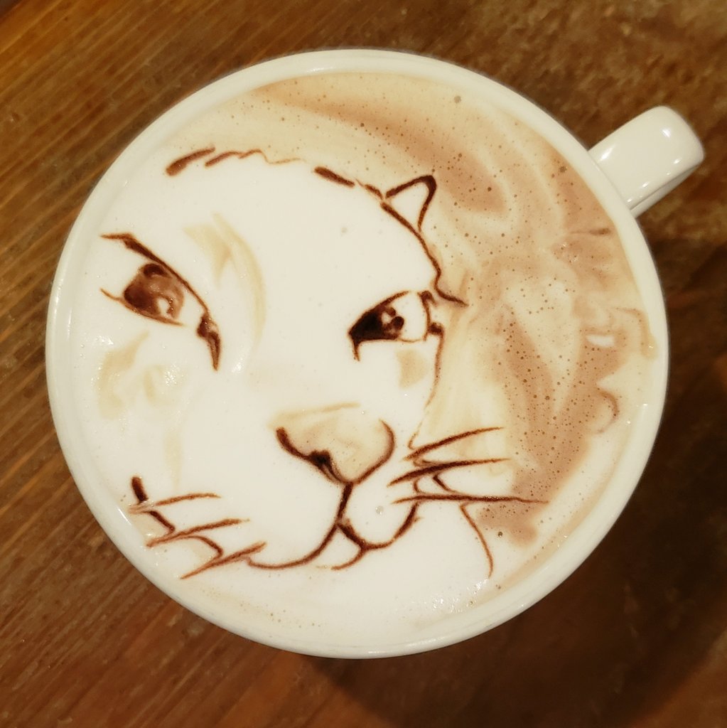 george_10g's tweet photo. 🐈 https://t.co/QXuT1NXWHd