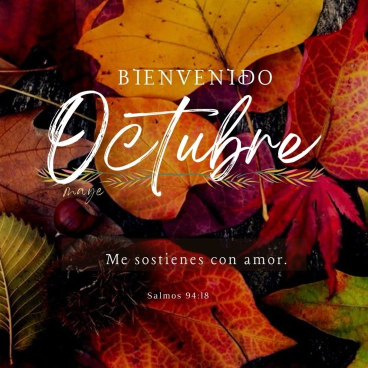 ¡Bienvenido octubre 🍂🍁 lo recibo con amor y lo declaro en abundancia, salud y prosperidad y lleno de oportunidades! 

Vamos por más 
Paciencia & fe
#BienvenidoOctubre #Octubre