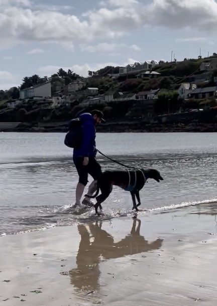 Today is International Black Dog Day and we’re raising money for Right Rehoming Greyhounds in Memory of our Lovely Teddy who passed away last week. Below is the Revolut link. If you would like a PayPal one please let me know. revolut.me/eimear7uck