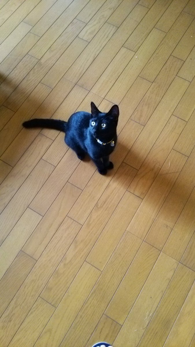 いろは🍀 (@iroha3114) on Twitter photo 