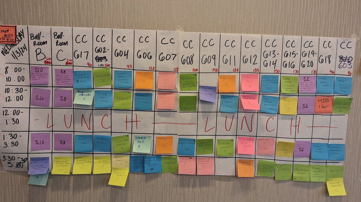 Thomas Sanger tweet media