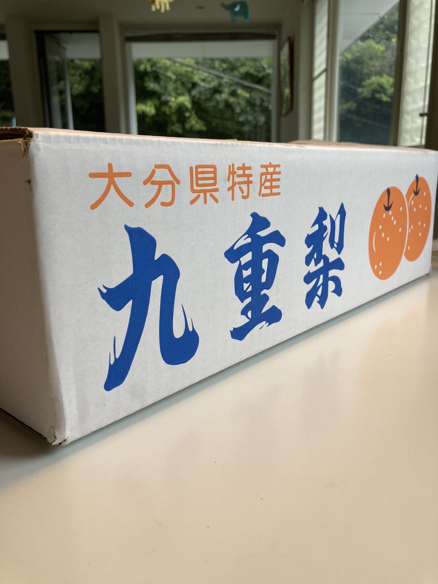 現役時代からずっと応援してくださっているお客様から嬉しい贈り物が...🥹びっくりするくらいデカくて甘かった🍐
本当にありがとうございます✨
