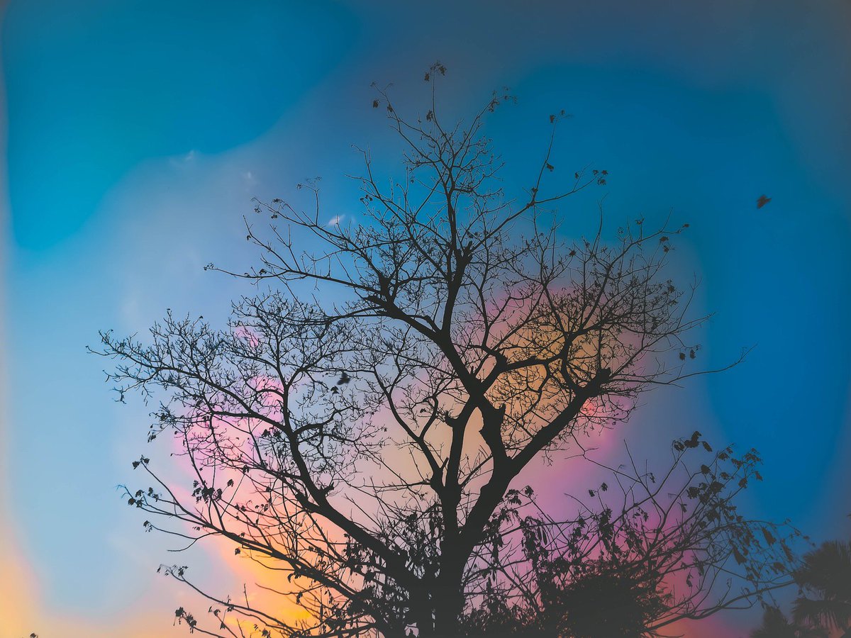 "Creativity is seeing what others see and thinking what no one else ever thought." - Albert Einstein. #Creative #creativity #creativeprocess #healingyourlifenow #arttherapy