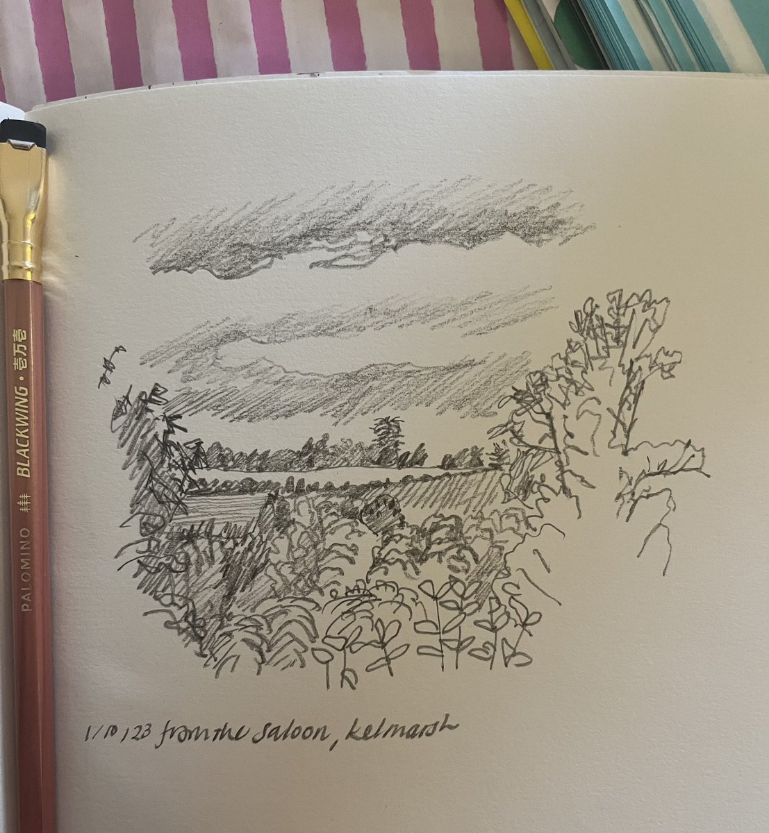 #drawing 4074 from the saloon, @KelmarshHall #thedailysketch