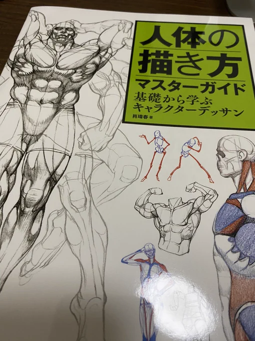 筋肉をブロック分けした描き方が凄く良かった本です 