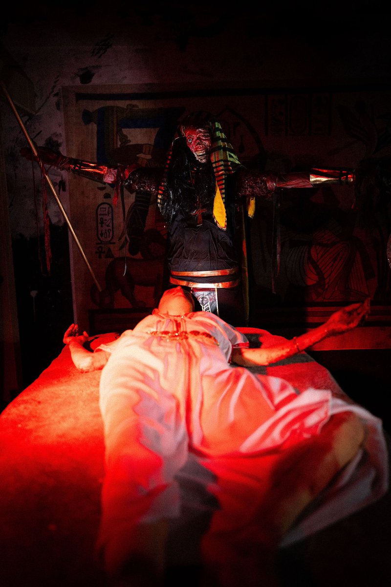 YorkMazeHallowscream tweet media