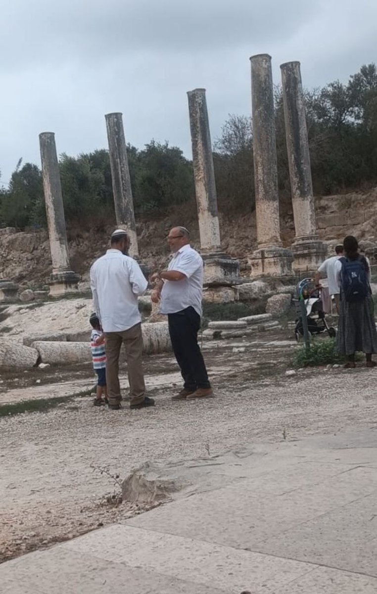 DrHananAshrawi's tweet photo. Please save Sebastia. The Israeli occupation army &amp; settlers are carrying out frequent incursions on the town &amp; historical site in an attempt to terrorise the people &amp; steal our antiquities. https://t.co/lpQJzsBnUc