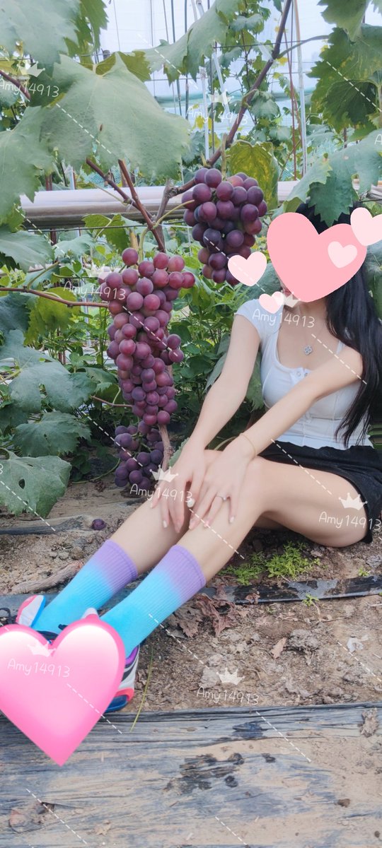 节日快乐！有喜欢吃🍇的宝宝吗点个赞，Amy姐姐喂你吃 https://t.co/VGmDeqDFB5