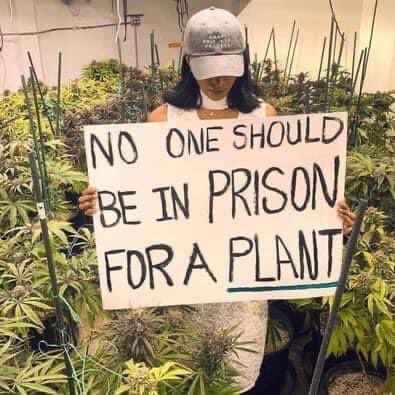 Bud_Box_'s tweet photo. Yes or No??

https://t.co/4F7ArbRurB https://t.co/bpmlHgLka4