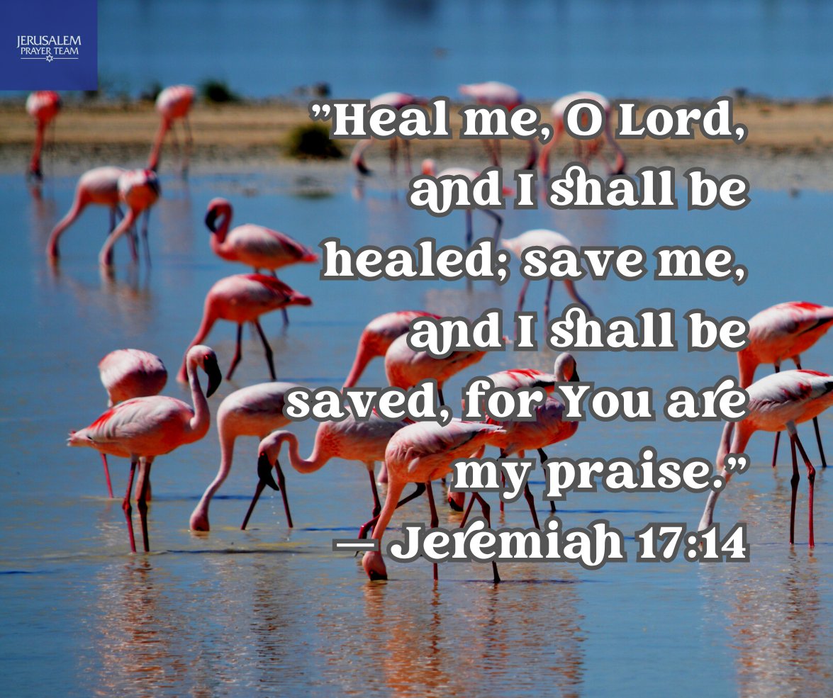 jerusalemprayer's tweet photo. "Heal me, O Lord, and I shall be healed; save me, and I shall be saved, for You are my praise."
— Jeremiah 17:14
Amen!
#HealingInJesusName #Healed #MyDeclaration #AskSeekKnock #MiraclesHappen https://t.co/ZhIC35N4Dd