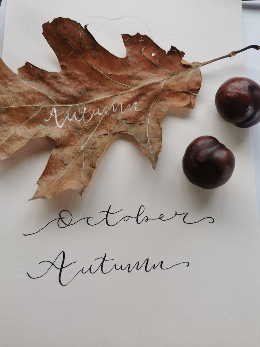 MSAnfieldRoad's tweet image. Happy October everyone! Let’s make it a #Challenge5🤖 Month🙌🏾! We can do it! #In2Win @AnfieldPrimary @AnfieldRoadHead