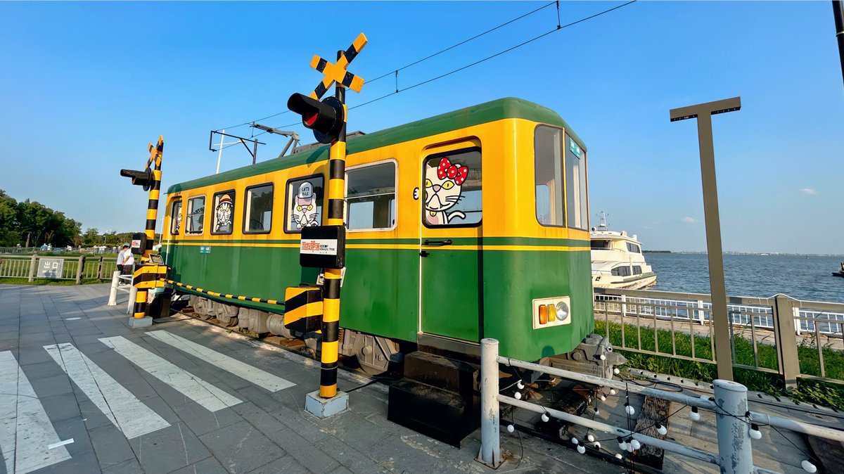 mist雨澪 tweet media