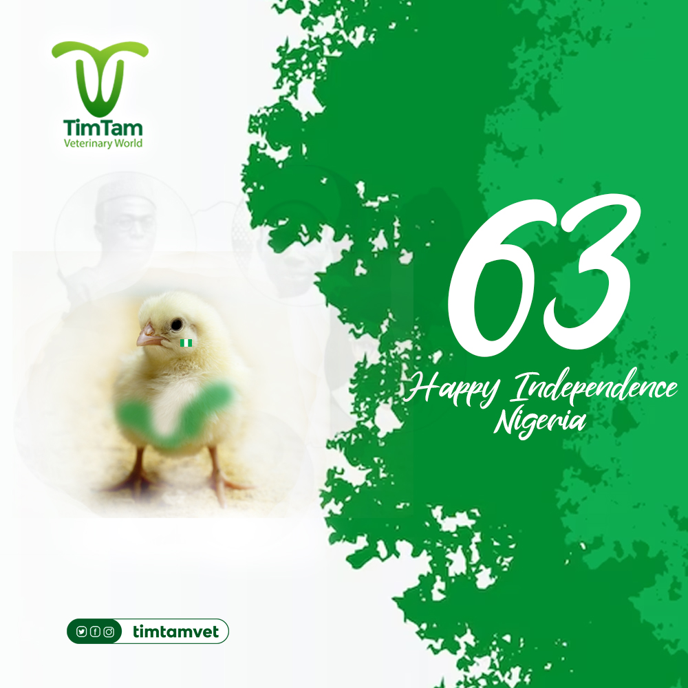Happy Independence Day, Nigeria
From all of us @ TimTam Veterinary

#independence #nigeriaat63
#Democracy #naijaat63
