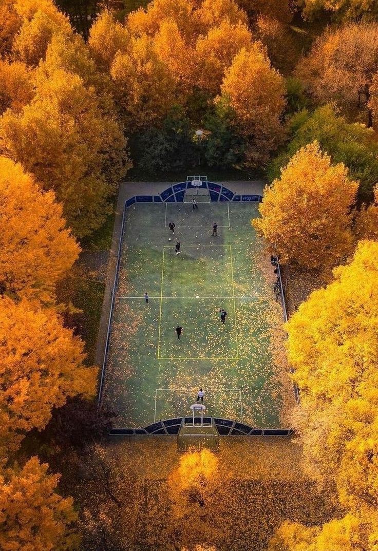 twoj_usmiech's tweet photo. 1st of October 🍂⛅✨🧡 https://t.co/HDSagOyniz