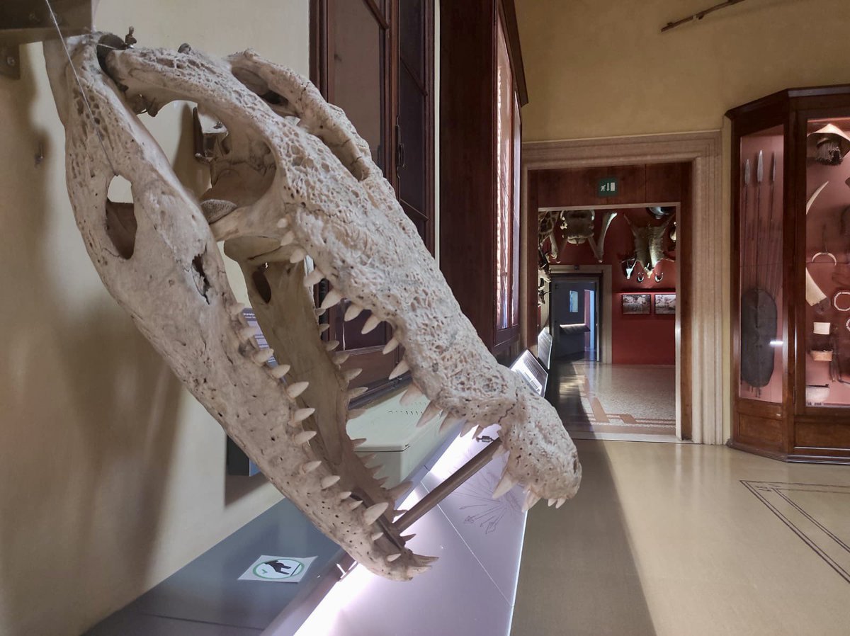 Comune di Venezia tweet media