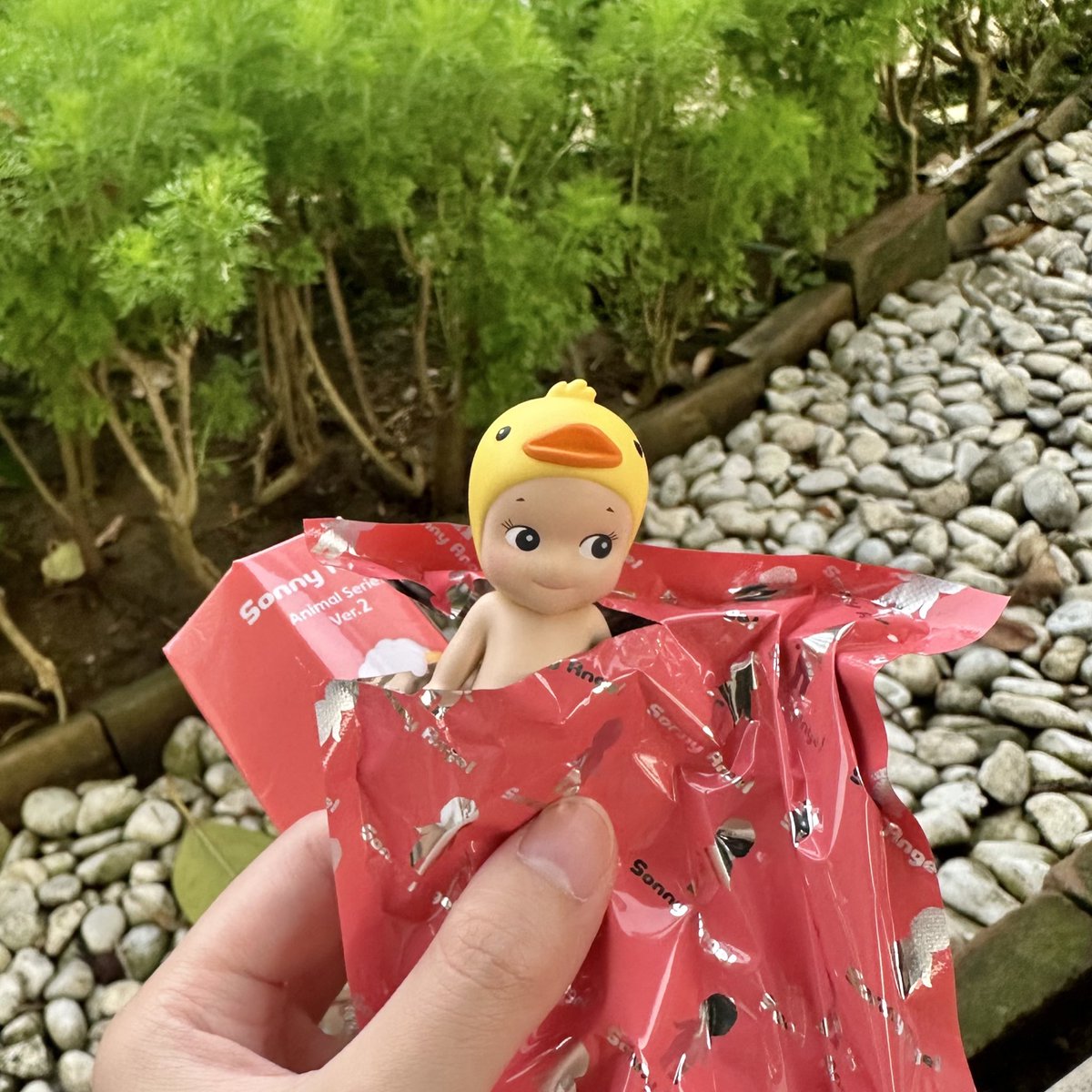 ˗ˏˋ꒰ y ꒱ tweet media