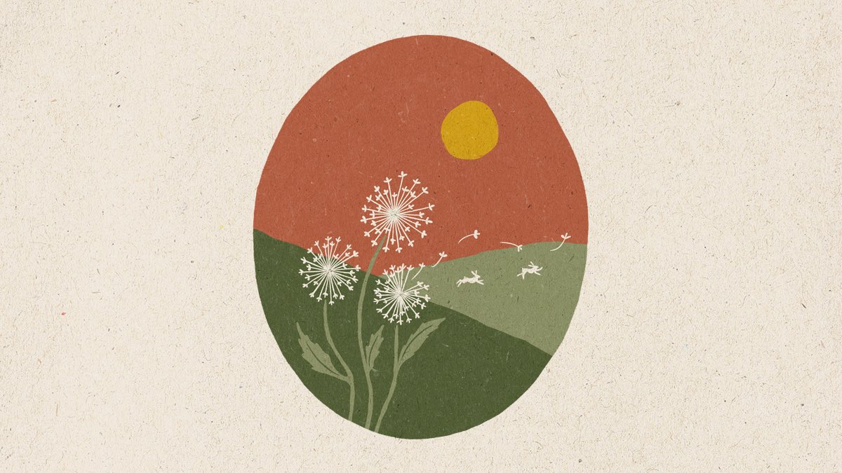 This morning, our wishes awaken. What are you hoping the luck will bring this October? Our hope is that it all comes to fruition for you. Rabbit Rabbit!   #rabbitrabbit