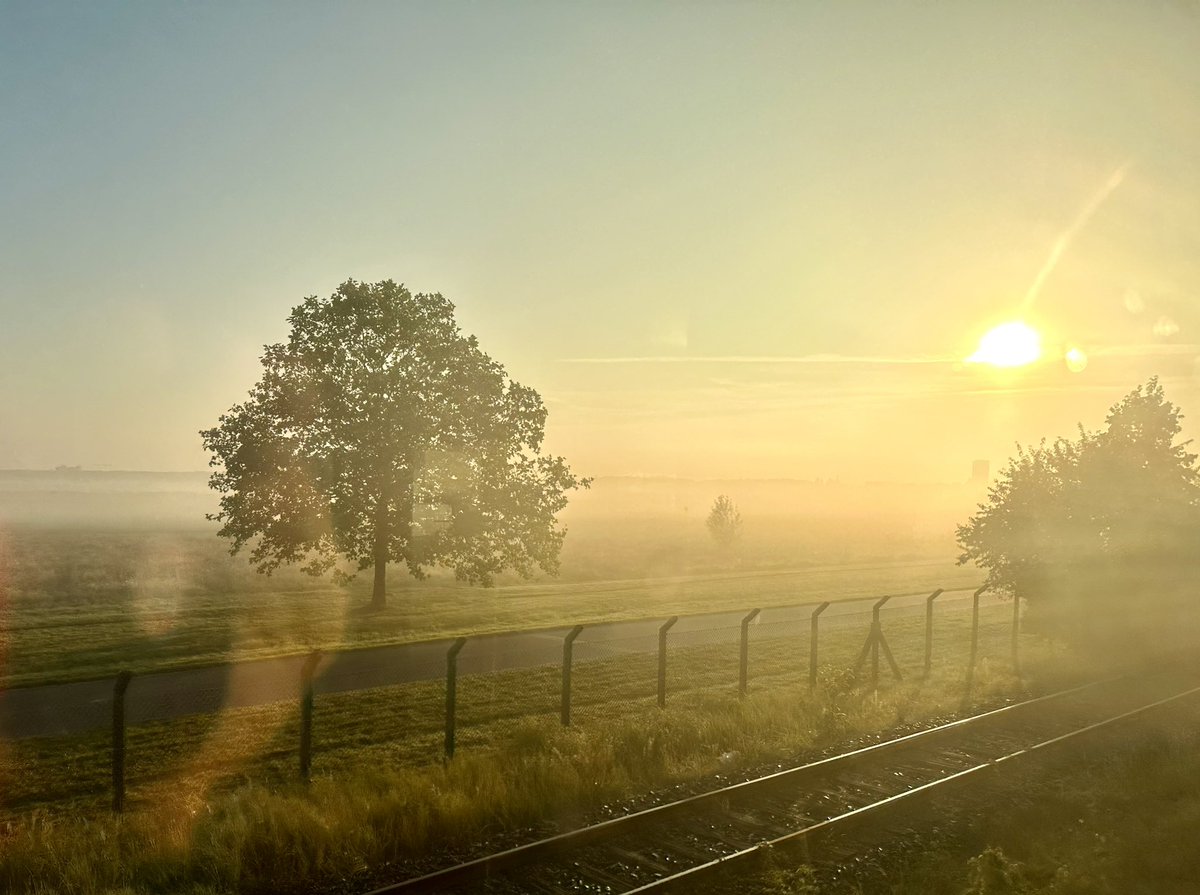 Ein lichtreicher Morgen. Selbst von der S-Bahn aus verzaubert das #Tempelhoferfeld . Eine Oase der magischen Augenblicke, deshalb #Thf100 🙏🫶