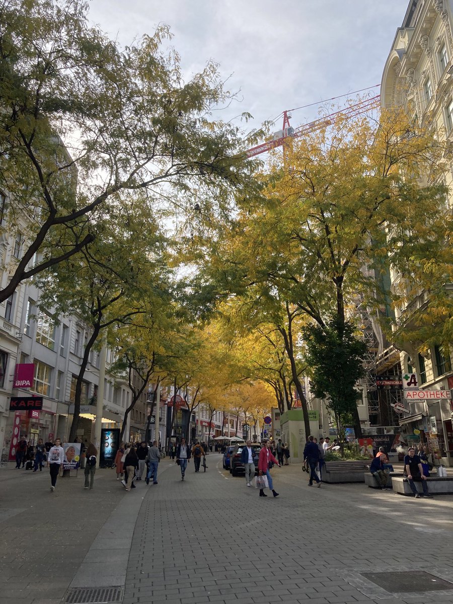 boys_nicholas's tweet photo. Don’t hate cars. Don’t wage a war against motorists. But don’t wage a war for them either. Instead fight the battle for place and for happy and healthy, prosperous and productive neighbourhoods. All the evidence suggests that voters will thank you. https://t.co/8ONQb21vtw