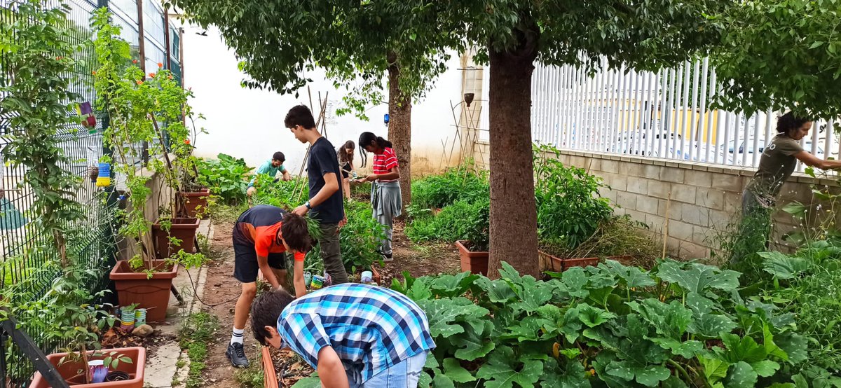El Bosque Habitado (@bosquehabitado) on Twitter photo .<a href="/radio3_rne/">Radio 3</a> <a href="/EDUARDOJIMNEZSE/">EDUARDO JIMÉNEZ SEGO</a> Vamos siguiendo al alumnado y vemos cómo van cambiando hábitos, sus ganas de participa. Profe en <a href="/iesmcervantes/">IES Miguel de Cervantes (Sevilla)</a>
#CodiciaDeLosListosRadio3 .<a href="/radio3_rne/">Radio 3</a> <a href="/EDUARDOJIMNEZSE/">EDUARDO JIMÉNEZ SEGO</a> Vamos siguiendo al alumnado y vemos cómo van cambiando hábitos, sus ganas de participa. Profe en <a href="/iesmcervantes/">IES Miguel de Cervantes (Sevilla)</a>
#CodiciaDeLosListosRadio3