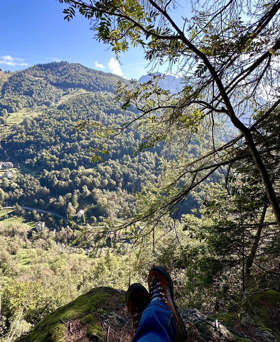 GallozziMrita's tweet photo. “È l’azzurro di certe giornate…in cui il cielo ti fa venire voglia di diventare aquilone…”
F. Ozpetek
#valsesia #cieloazzurro #boschi https://t.co/j6Wy20x6wc