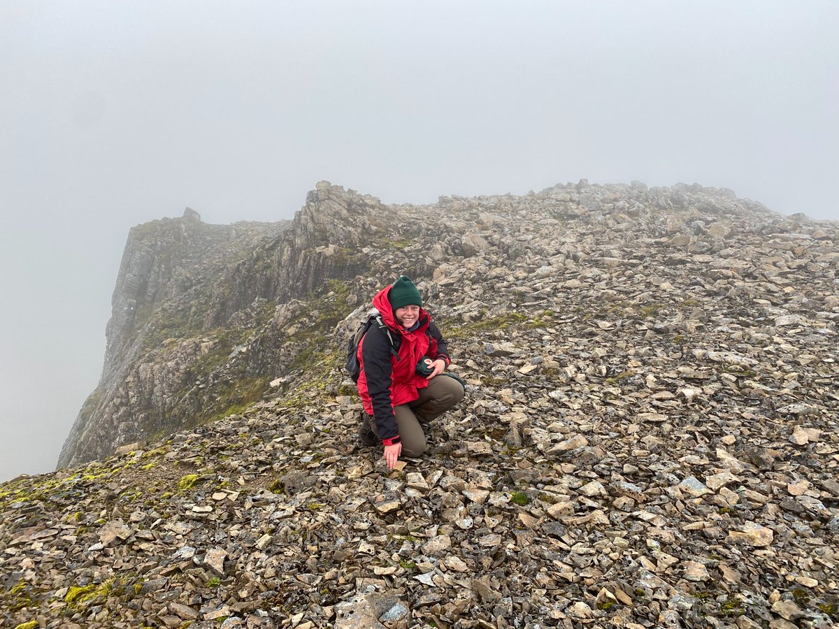 Sarah Watts (@watts_sh) on Twitter photo 📢There's a brand new record for Britain's highest altitude tree! We found it at 1221m on Ben Nevis, & incredibly it's a #Willow (Grey Willow; Salix cinerea). 
This tenacious little plant has surpassed Sitka Spruce at 1210m. #HighMountainTrees <a href="/BSBIbotany/">BSBI: Botanical Society of Britain & Ireland</a> <a href="/JimMcIn37952395/">Jim McIntosh</a> 📢There's a brand new record for Britain's highest altitude tree! We found it at 1221m on Ben Nevis, & incredibly it's a #Willow (Grey Willow; Salix cinerea). 
This tenacious little plant has surpassed Sitka Spruce at 1210m. #HighMountainTrees <a href="/BSBIbotany/">BSBI: Botanical Society of Britain & Ireland</a> <a href="/JimMcIn37952395/">Jim McIntosh</a>