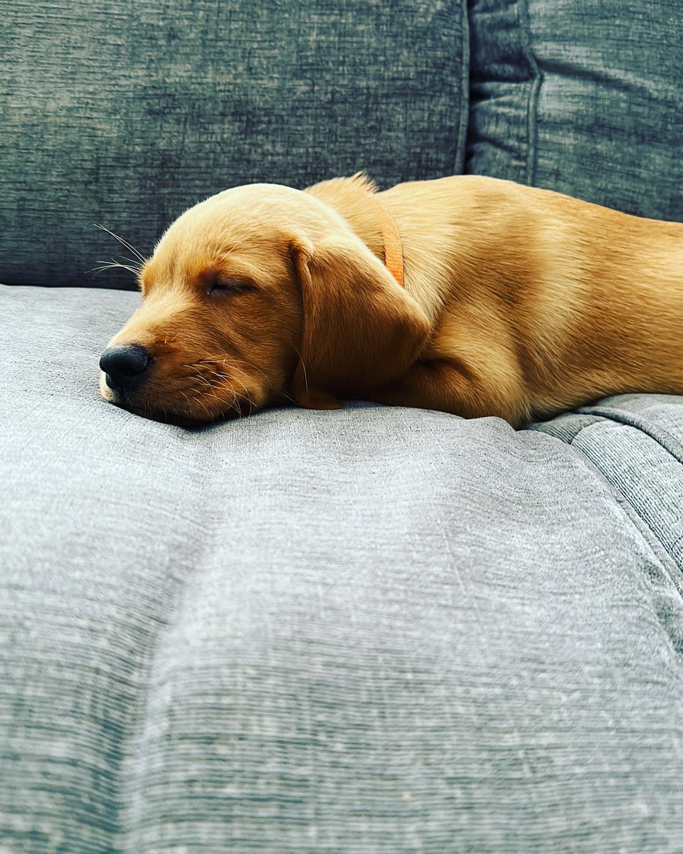 Danny Bradley tweet media