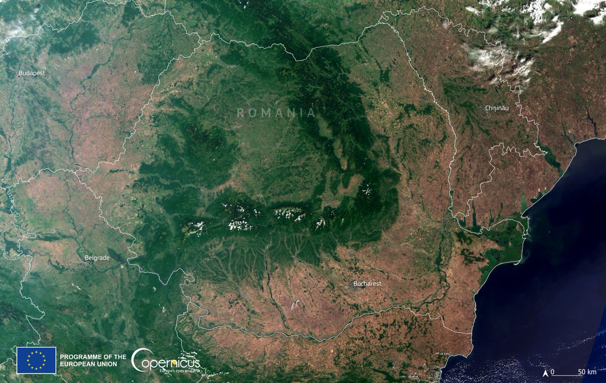 #Copernicus for #EUBiodiversity 

The Carpathian Mountains are a #biodiversity hotspot, hosting unique flora 🌺 and fauna 🦊

#DYK that #Romania 🇷🇴 is home to Europe's largest population of brown bears 🐻?

⬇️Recent #Sentinel3 🇪🇺🛰️ image