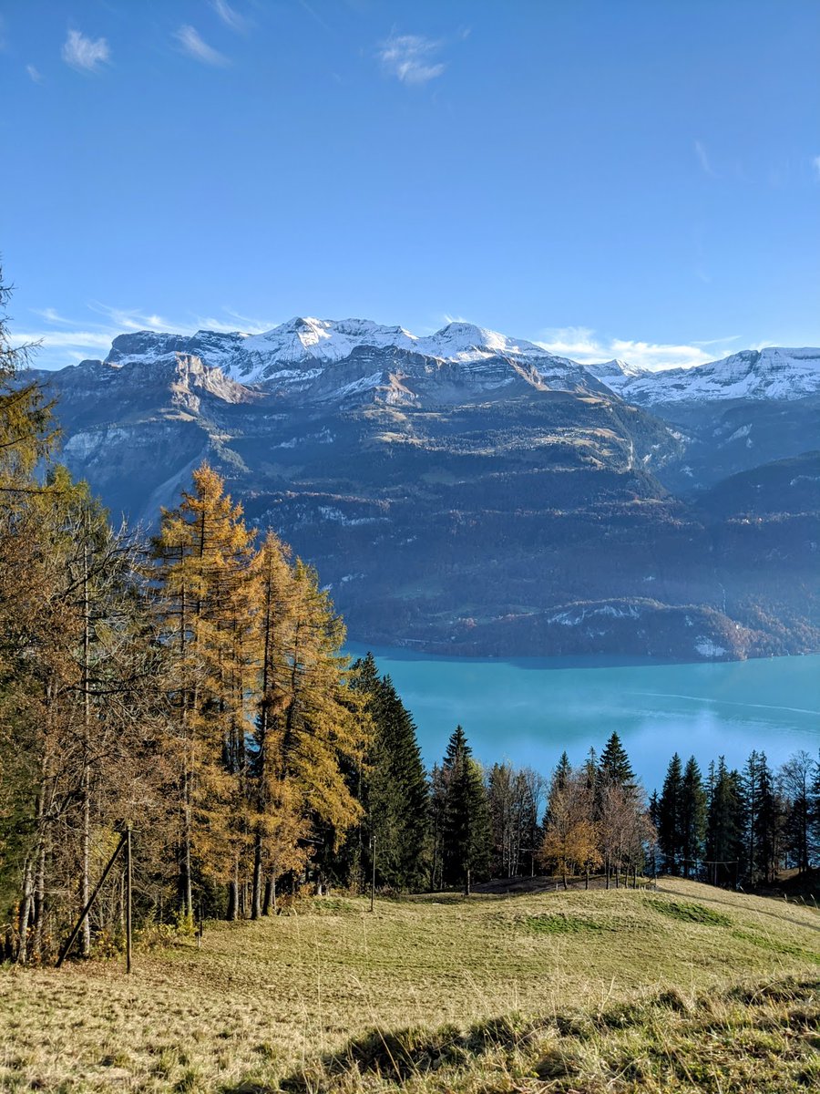 stackhodler tweet picture