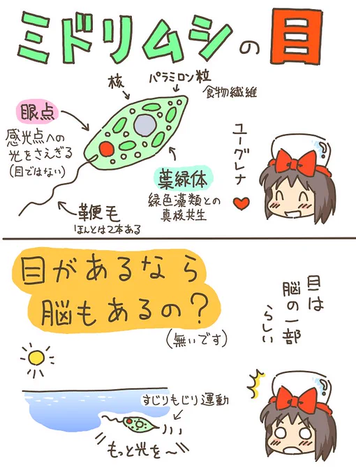 売れのこったブラウン管のおはなし。(897) 