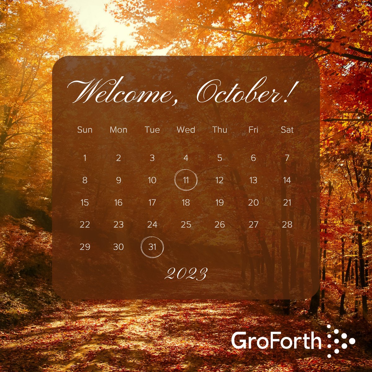 GroForth's tweet image. As we embark on the year's final quarter, what three things do you want to address in your business to get off to a strong start for 2024...