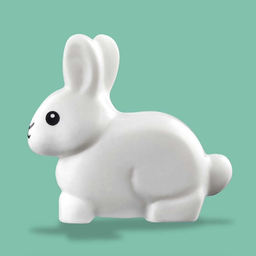 rabbit rabbit