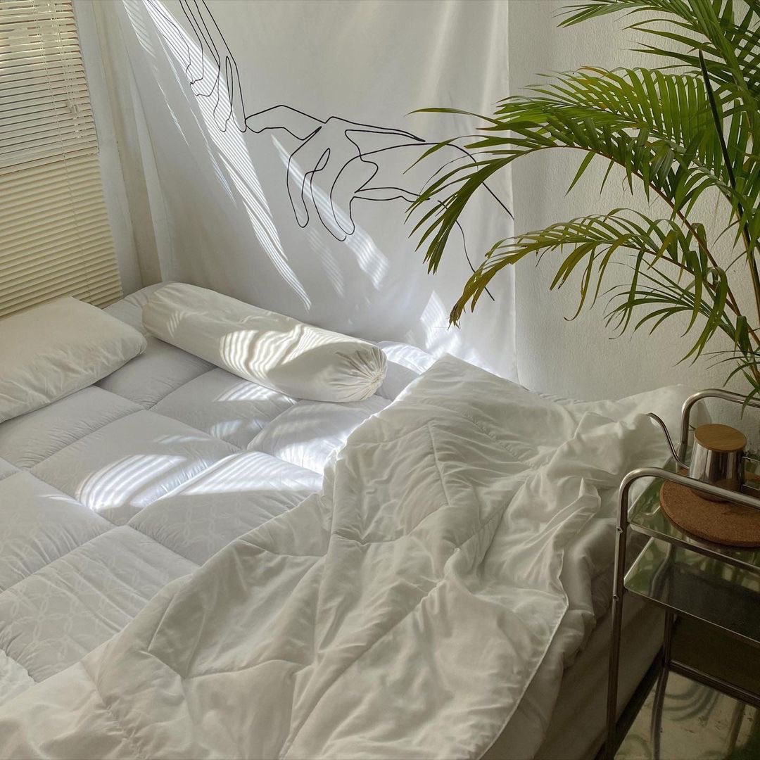 Lotus Bedding tweet media