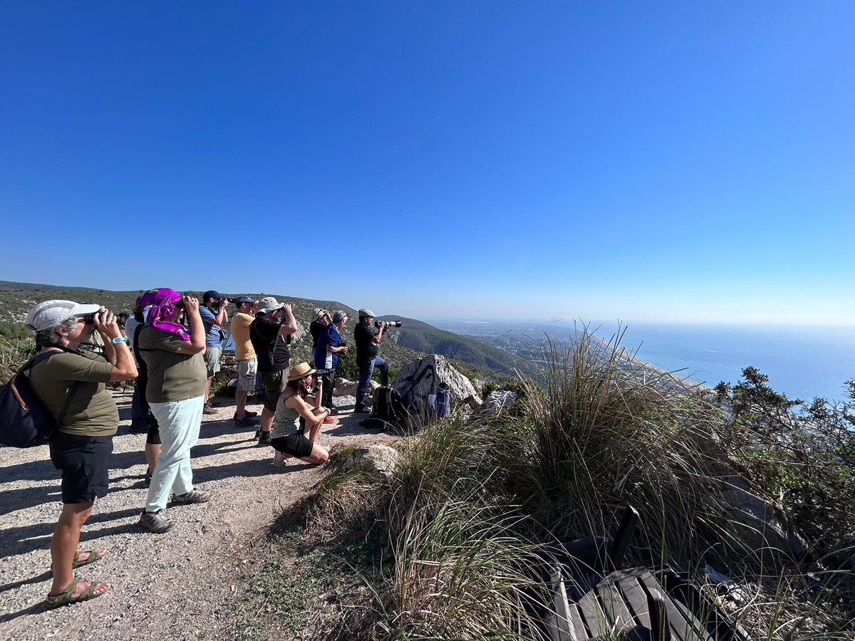 Ja estem celebrant el #DíadelasAves observant la migració de rapinyaires al Garraf.