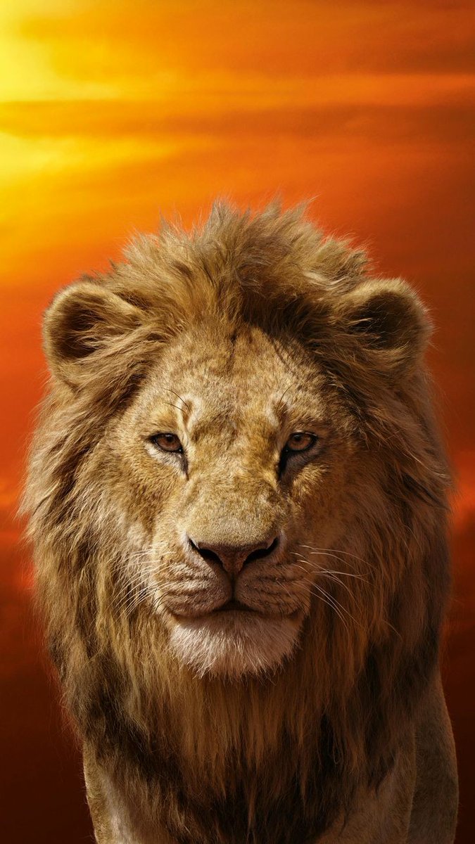 PHDhumph's tweet photo. Wanangu wa SIMBA mpo wapi?
#Simbasport https://t.co/3vvnCidsUx