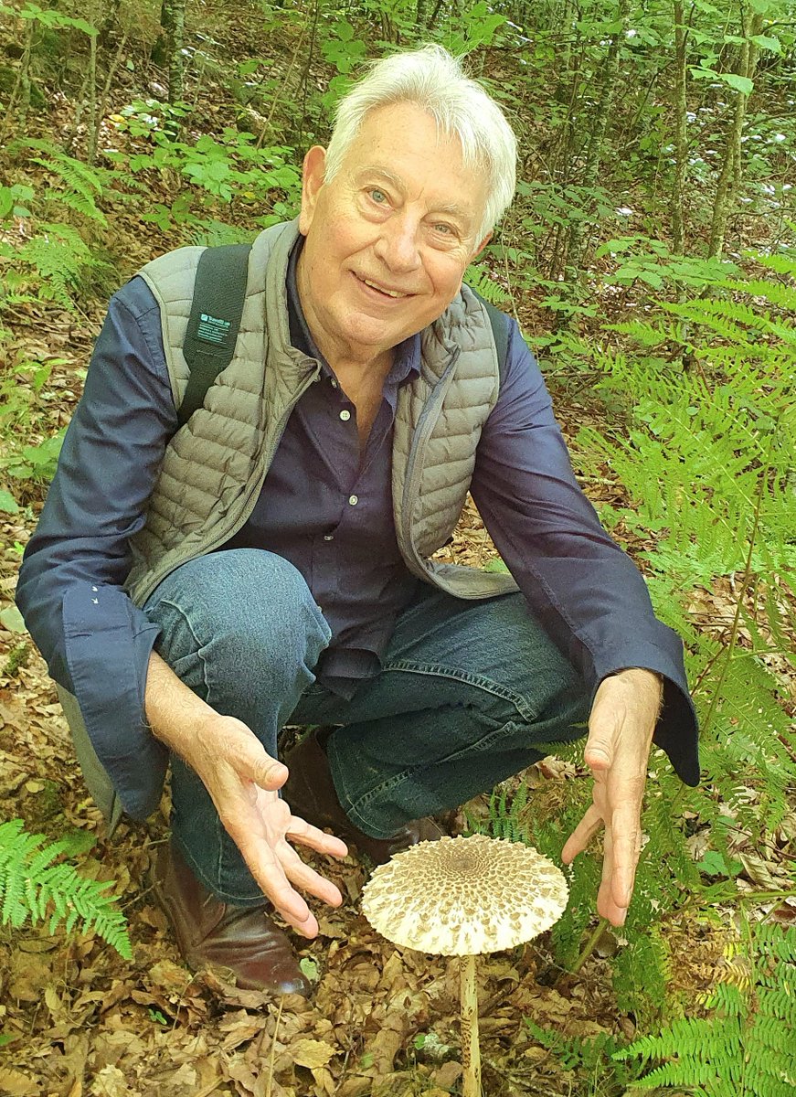 No entiendo de setas pero esta tiene buena pinta. Espero que sea comestible.