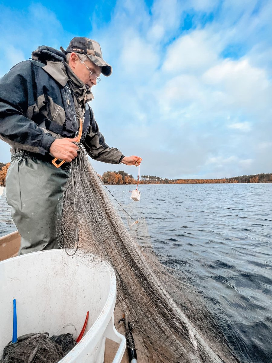 In Lake Vanttausjärvi we have four seasons also in fishing. In Autumn 🍂 it is all about vendace, till the lake gets its ice cover in November.
#laplanddeluxe #muikku