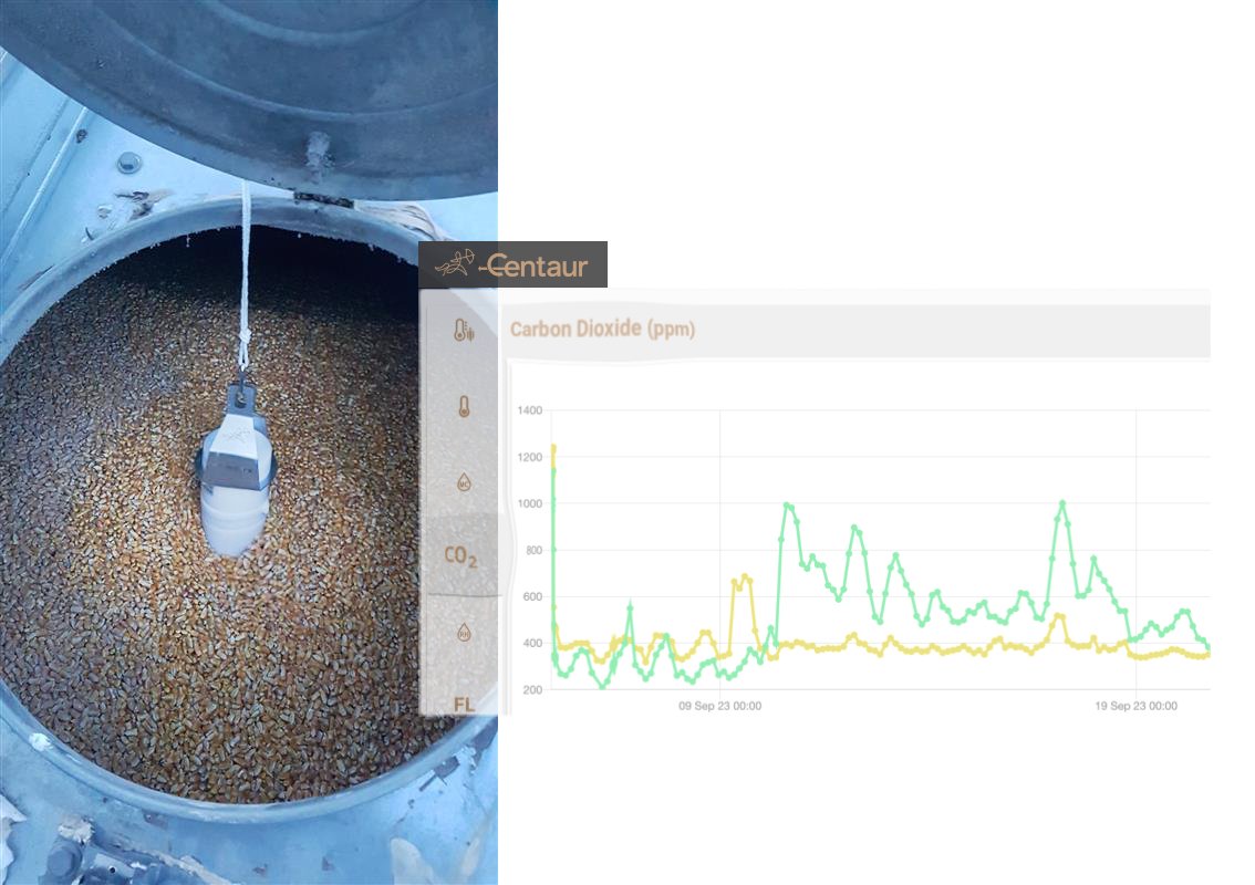 Optimal grain storage is now a reality! With #sensors that can be placed from the top, monitor vital indicators like CO2 levels and keep your #grain in peak condition. 🌾✅ 
#sustainability #IntenetOfCrops

centaur.ag/hassle-free-gr…