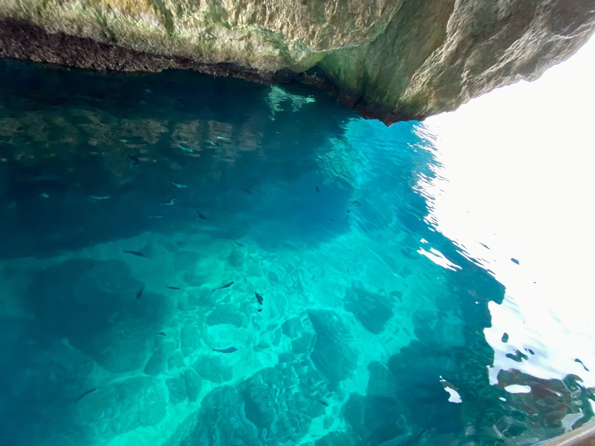 Giorgio Tassi tweet media